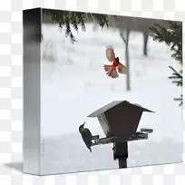 相框.实物肉-空若网 相框.实物肉-空若网