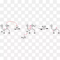 Ʒ���ߺ����-������