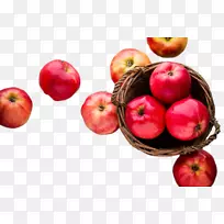 ƻ������ƻ�����ʳ��-������