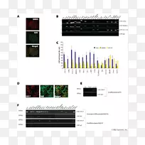 品牌技术-技术-空若网 品牌技术-技术-空若网