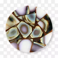 铜币-空若网 铜币-空若网