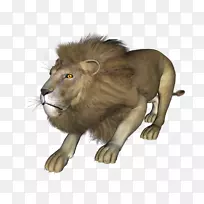 ����ʨ������Ƭ-QJ-������