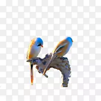 ���������-�޻����ɰ���-������