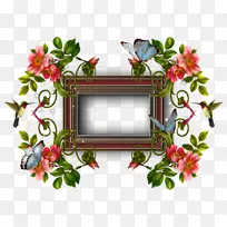 ���򻨻���Ƽ�����-QE-������