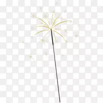 株系植物茎对称叶花系-空若网 株系植物茎对称叶花系-空若网