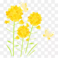 花瓣切花植物茎开花植物春料-空若网 花瓣切花植物茎开花植物春料-空若网