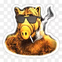 电子邮件贴纸android facebook信使-空若网 电子邮件贴纸android facebook信使-空若网