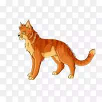 狮子红狐大猫陆生动物狮子-空若网 狮子红狐大猫陆生动物狮子-空若网