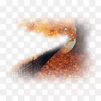 日记博客LiveInternet剪贴画-空若网 日记博客LiveInternet剪贴画-空若网