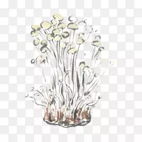 �߲�Ģ���ֻ�Ģ��-������