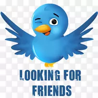 Android十字色溢价非图色图-寻找朋友-空若网 Android十字色溢价非图色图-寻找朋友-空若网