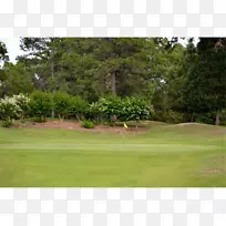 忠诚者伦诺克斯和阿丁顿7号物业草坪高尔夫球场-凡彭定康高尔夫俱乐部景观餐厅-空若网 忠诚者伦诺克斯和阿丁顿7号物业草坪高尔夫球场-凡彭定康高尔夫俱乐部景观餐厅-空若网