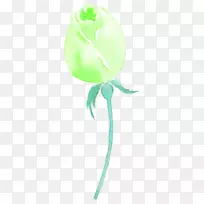 水彩花卉-空若网 水彩花卉-空若网