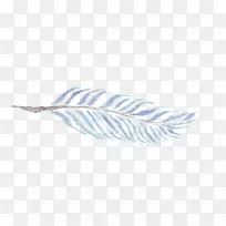 ��ë��-��ë-������