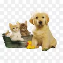 ���յ���ף�����տ��ֺؿ��ͱ���-����-������