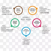 膳食营养饮食健康狗-空若网 膳食营养饮食健康狗-空若网
