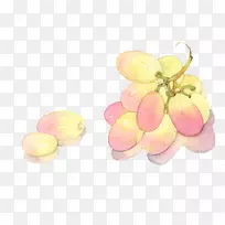 ÆÏÌÑË®²Ê».ÊÖ»æÆÏÌÑ-¿ÕÈôÍø ÆÏÌÑË®²Ê».ÊÖ»æÆÏÌÑ-¿ÕÈôÍø