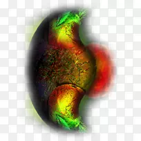 PSPˮ��-������