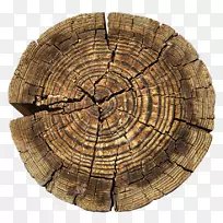 ��aastarxf5ngad����ӳ��-����-������