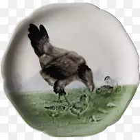 动物喙鸡作为食物-空若网 动物喙鸡作为食物-空若网