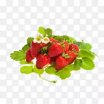 ��ݮ�л�ʳƷˮ����ݮ-������