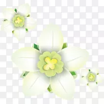 水仙花花瓣剪贴画-郁金香-空若网 水仙花花瓣剪贴画-郁金香-空若网