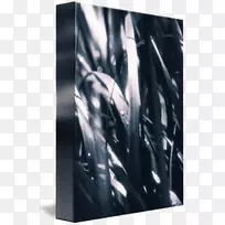 ��ɫ����-��¶-������