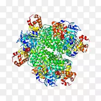 �ߵ������-��-������