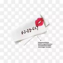 �̱�����-����-������