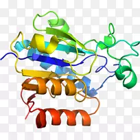 �������춬����Ȱ����춬������������-������