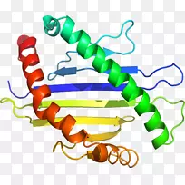 人体首饰有机体线剪贴画线-空若网 人体首饰有机体线剪贴画线-空若网