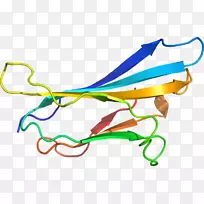 �ߵ������-��-������