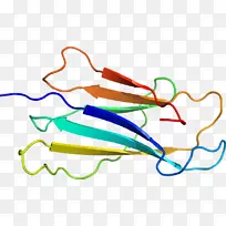 �ߵ������-��-������