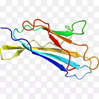 �ߵ������-��-������