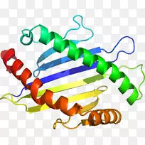 人体珠宝线有机体剪贴画线-空若网 人体珠宝线有机体剪贴画线-空若网