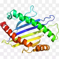 人体珠宝线有机体剪贴画线-空若网 人体珠宝线有机体剪贴画线-空若网