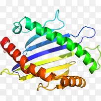 �����鱦���л����������-������