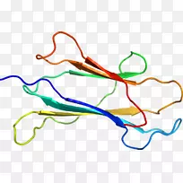 线点生物剪贴画线-空若网 线点生物剪贴画线-空若网