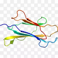 �ߵ������-��-������