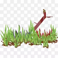 动画三维计算机图形.草装饰设计创意-空若网 动画三维计算机图形.草装饰设计创意-空若网