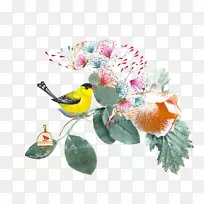 水彩画.水彩画鸟-空若网 水彩画.水彩画鸟-空若网