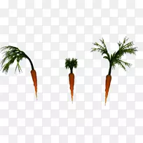 ���ƿƲݣ�ֲ�ﾥ������Ҷ-������