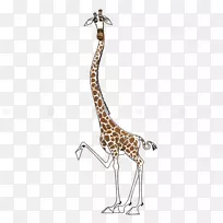 ����¹����½�ض���Ұ�����ﳤ��¹-������