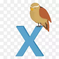 病人x:Ryunosuke Akutagawa Amazon.com的案例手册-空若网 病人x:Ryunosuke Akutagawa Amazon.com的案例手册-空若网