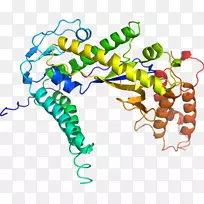 线点生物剪贴画线-空若网 线点生物剪贴画线-空若网