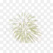 树型-烟花,爆炸,五颜六色-空若网 树型-烟花,爆炸,五颜六色-空若网