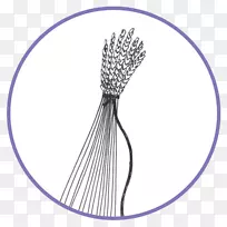 ����Ʒϵ�в����м�����-������