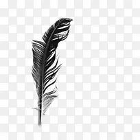 白色羽毛黑色和白色-黑色和白色羽毛-空若网 白色羽毛黑色和白色-黑色和白色羽毛-空若网