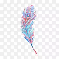 羽毛图案设计水彩画.新鲜颜色鲜艳的羽毛水彩风格-空若网 羽毛图案设计水彩画.新鲜颜色鲜艳的羽毛水彩风格-空若网