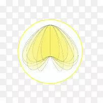 直线角鼻线-空若网 直线角鼻线-空若网